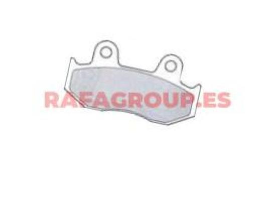 RGFDB2119 - brake pads